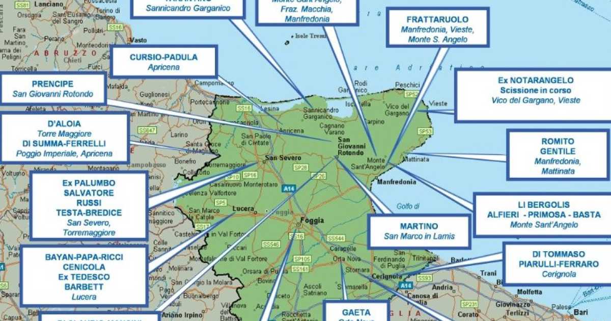 Foggia, la geografia della "Quarta mafia": �Criminalit� che vuole mettersi in mostra�